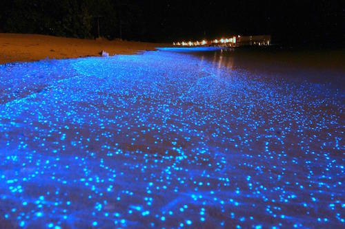 Lichtgevende zee Malediven