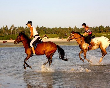 Seacliff Resort & Spa paardrijden