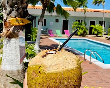 Arubiana Inn Aruba kokosnoot