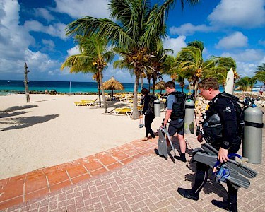 Plaza Beach Resort Bonaire duiken