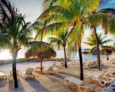 Plaza Beach Resort Bonaire strand