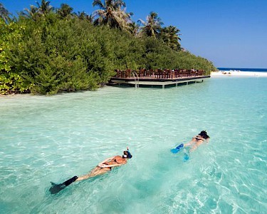 Embudu Village Malediven duiken