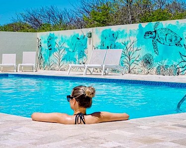 Dream of the Green Flamingo Curaçao relaxen in het zwembad