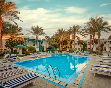 Facon Hills Egypte zwembad met ligbedden