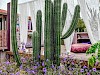 Mammaloe's Bed & Breakfast cactussen