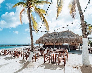 Corendon Mangrove Beach Resort flamingo beach bar