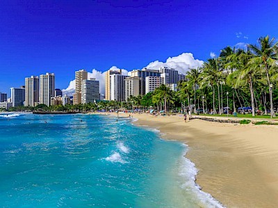 Waikiki Beach Hawaii Honolulu