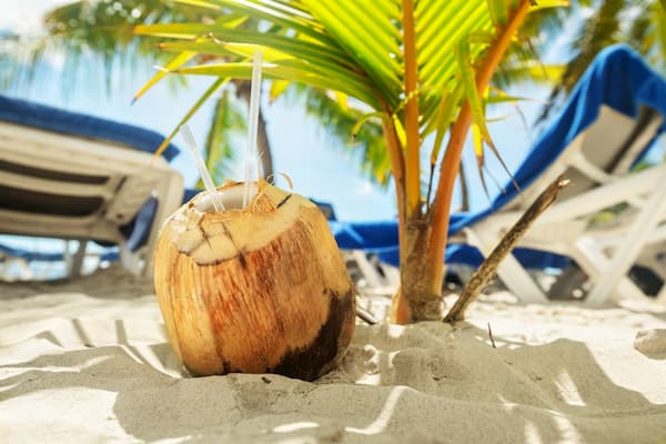 Zonvakantie Dominicaanse Republiek kokosnoot