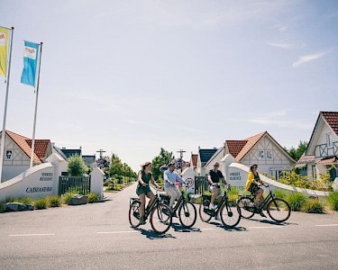 Noordzee Résidence Cadzand-Bad fietsen