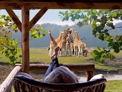 Safari Resort Beekse Bergen lodge