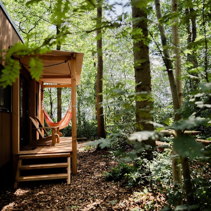 Forest Cabins Drenthe