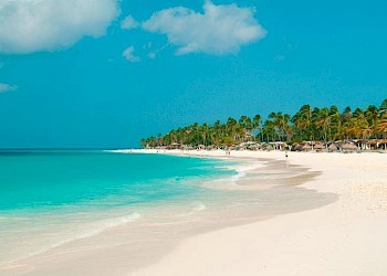 Divi Aruba All Inclusive Druif Beach