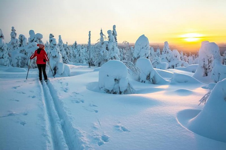 Langlaufen Lapland Finland