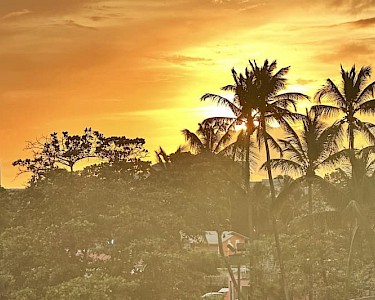 Divi Southwinds Beach Resort zonsondergang palmbomen