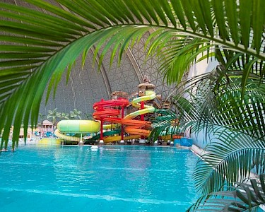 Tropical Islands Resort glijbanen palmboom