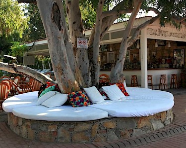 Okaliptus Hotel Bitez zitje rondom boom