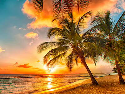 Vakantie strand palmbomen