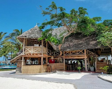 Nest Style Zanzibar bar
