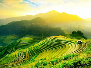 Goedkoop naar Bali, Indonesië