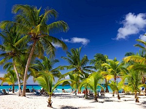 2 weken Dominicaanse Republiek