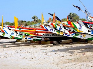 All-Inclusive Gambia