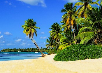 All-Inclusive Jamaica