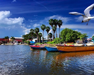 Goedkope vakantie Jamaica
