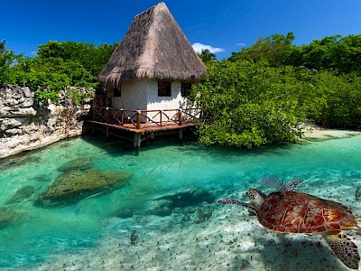 All-Inclusive Mexico