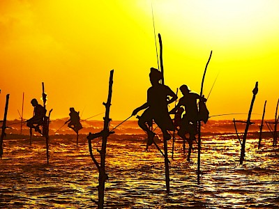 Sri Lanka goedkoop