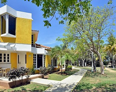 Sol Palmeras Cuba tuin