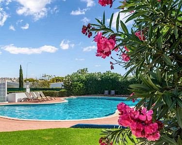 Quinta do Paraiso Portugal zwembad en tuin