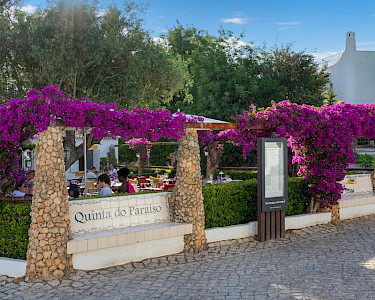 Quinta do Paraiso Portugal restaurant Trattoria Oliveira
