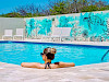 Dream of the Green Flamingo Curaçao relaxen in het zwembad