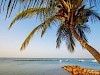 Goedkope vakantie Senegal