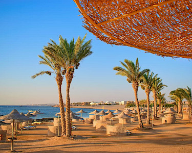 Egypte Hurghada strand met palmbomen