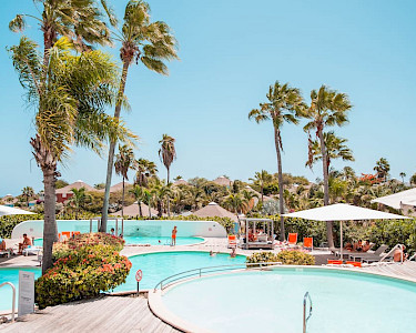 TUI TIME TO SMILE Chogogo Dive & Beach Resort Curaçao zwemba