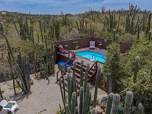 Mammaloe's Bed & Breakfast zwembad