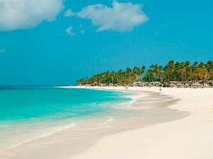 Divi Aruba All Inclusive Druif Beach