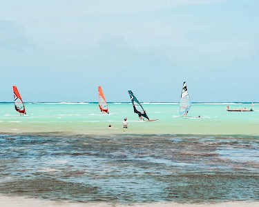 Sorobon Luxury Beach Resort Bonaire windsurfers