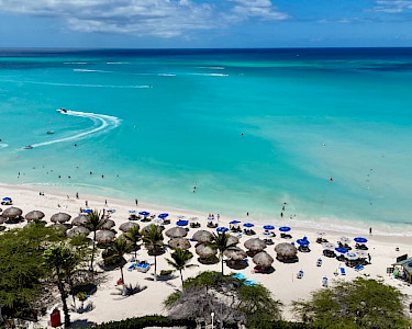 Amsterdam Manor Beach Resort strand Eagle Beach Aruba