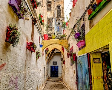 Fez Marokko straatje met planten
