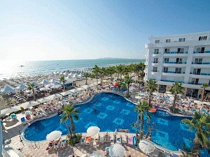 Grand Blue Fafa Albanië