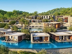 King Jason Zante suites