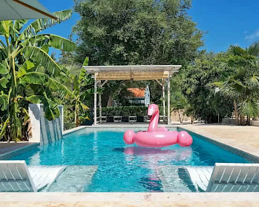 Boutique Fuik Curaçao zwembad met opblaas flamingo