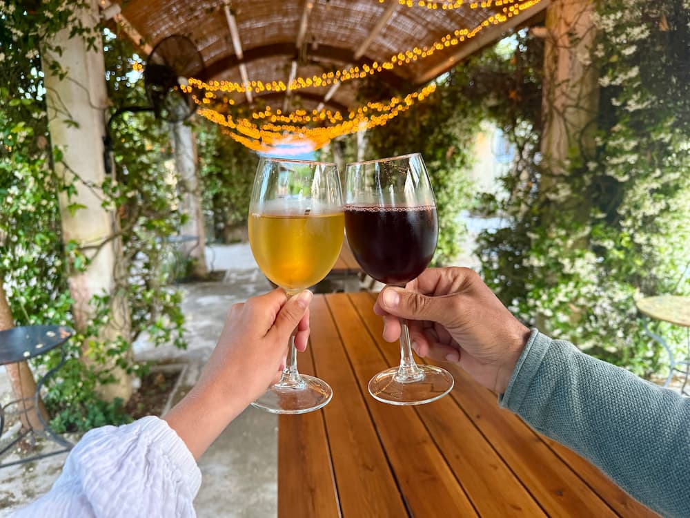 Cheers met witte en rode wijn bij Ambelonas Corfu wijngaard en restaurant