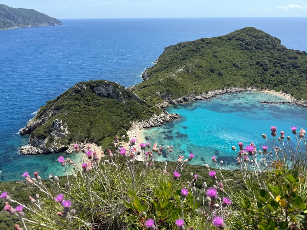 Porto Timoni Beach Corfu bloemetjes en uitzicht op de 2 strandjes