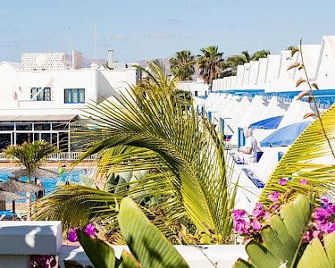 Cinco Plazas Lanzarote tuin