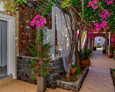 Kings Suites Santorini tuin