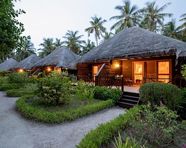 Bandos Maldives bungalows in tuin