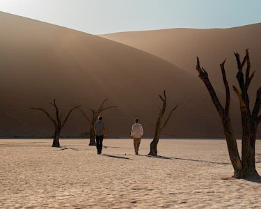 Deadvlei in Namibië